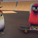 Two cute birds staring at the camera.